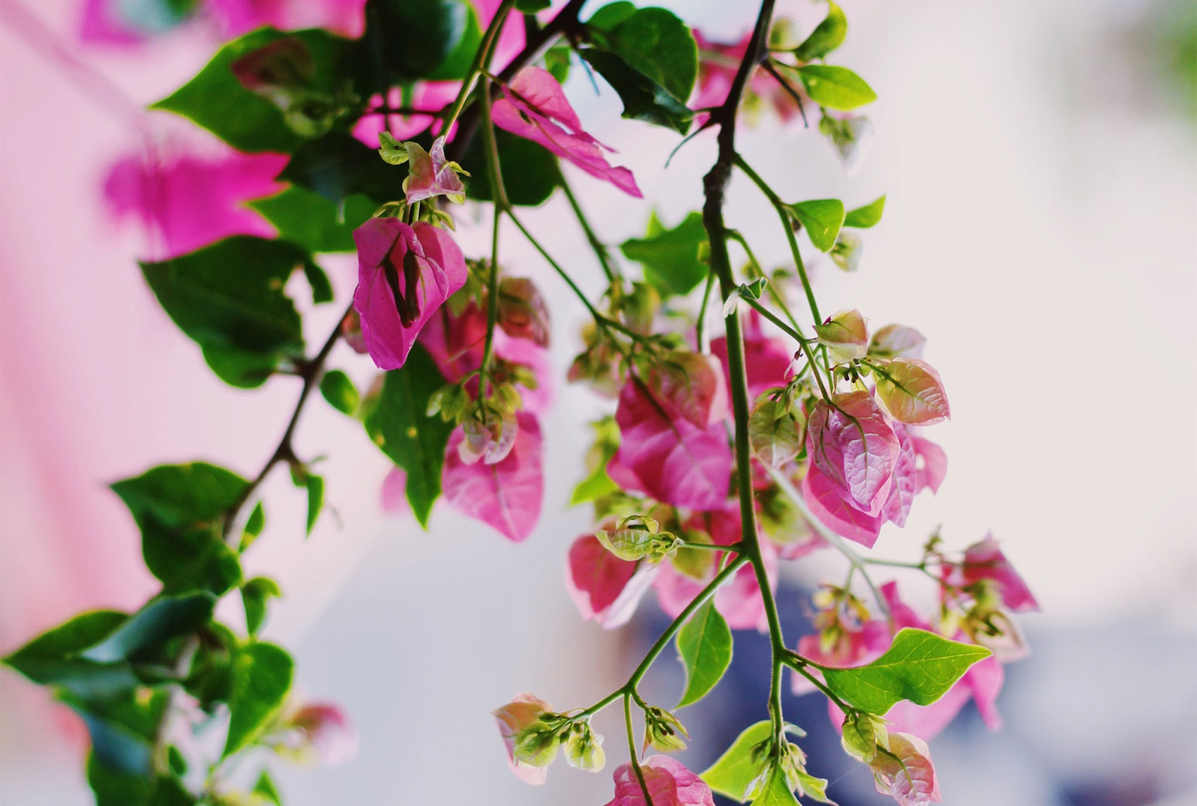 The Power of CRM in Driving Customer Retention